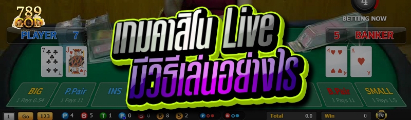 เกมคาสิโน Live มีวิธีเล่นอย่างไร