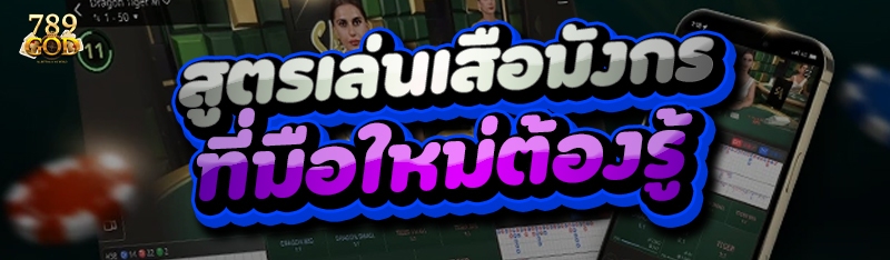 สูตรเล่นเสือมังกร ที่มือใหม่ต้องรู้