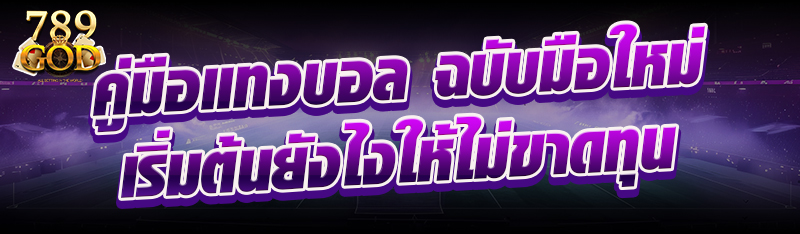 คู่มือแทงบอล ฉบับมือใหม่ เริ่มต้นยังไงให้ไม่ขาดทุน