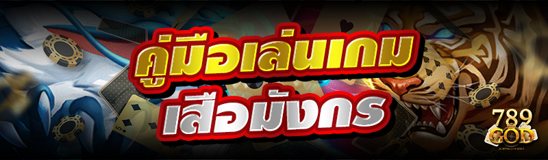 คู่มือเล่นเกมเสือมังกร 