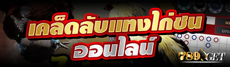 เคล็ดลับแทงไก่ชนออนไลน์ 