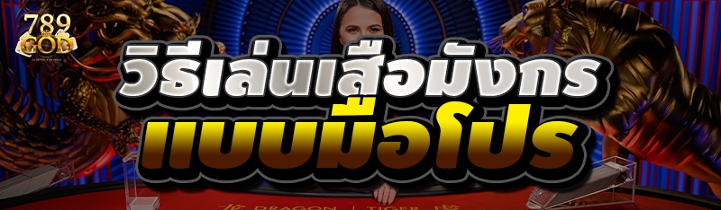 วิธีเล่นเสือมังกร แบบมือโปร